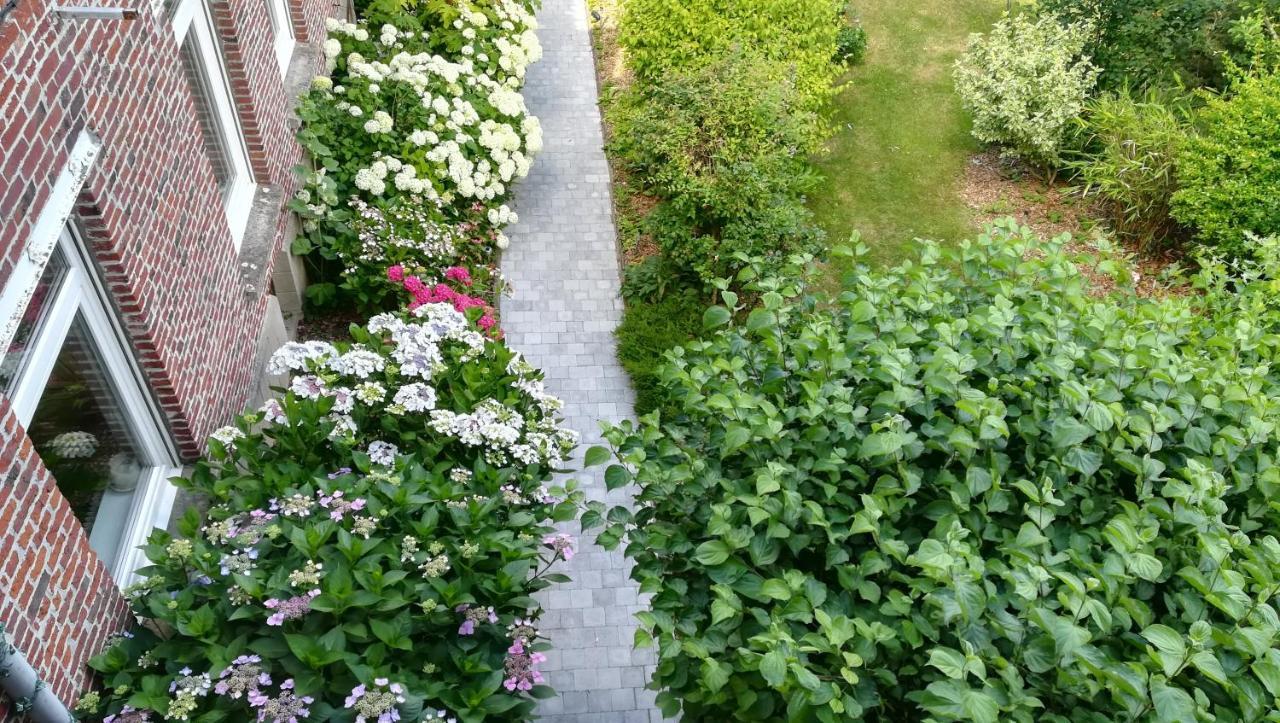Monts Et Merveilles Godewaersvelde ภายนอก รูปภาพ